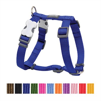 Red Dingo Classic Dog Harness