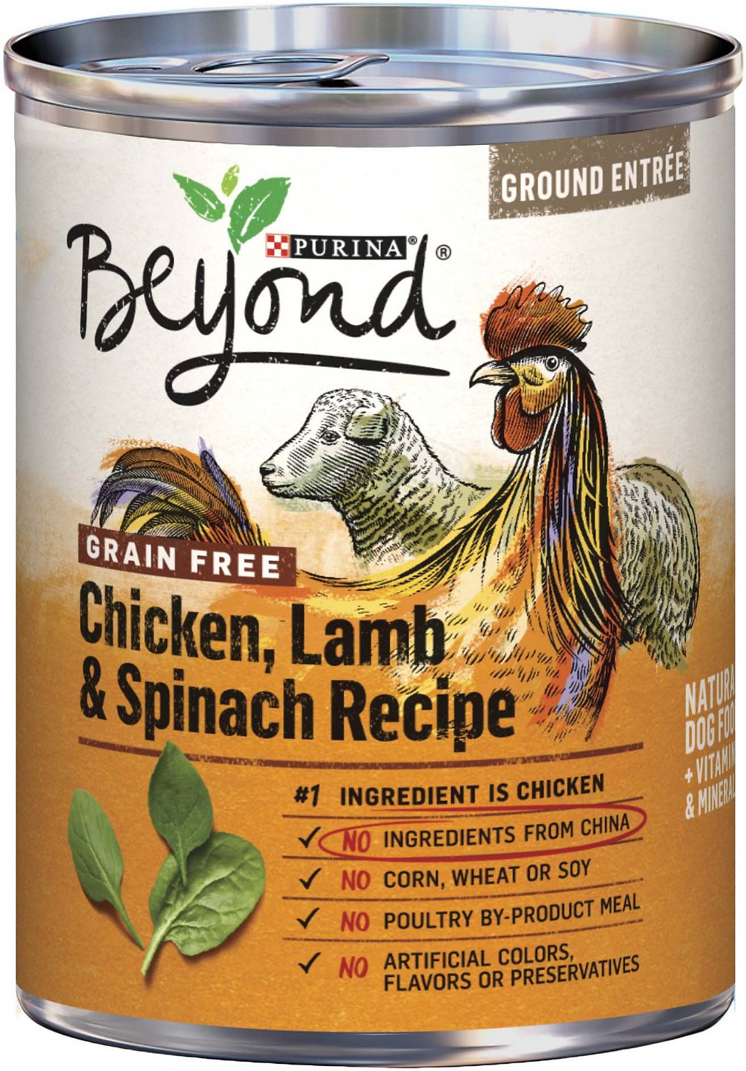 Purina Beyond Grain-Free Chicken, Lamb & Spinach Recipe Ground Entree Canned Dog Food, 13-oz, case of 12