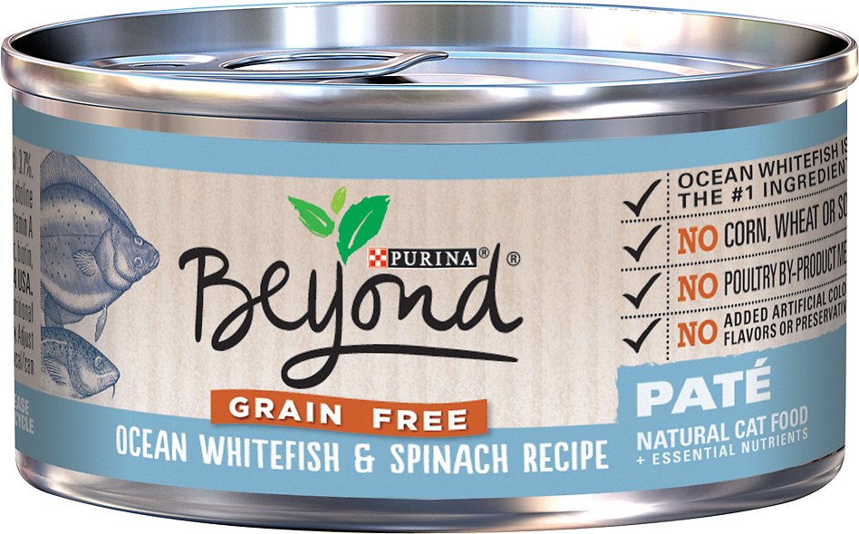 Purina Beyond Grain-Free Ocean Whitefish & Spinach Pate Recipe Canned Cat Food, 3-oz, case of 12