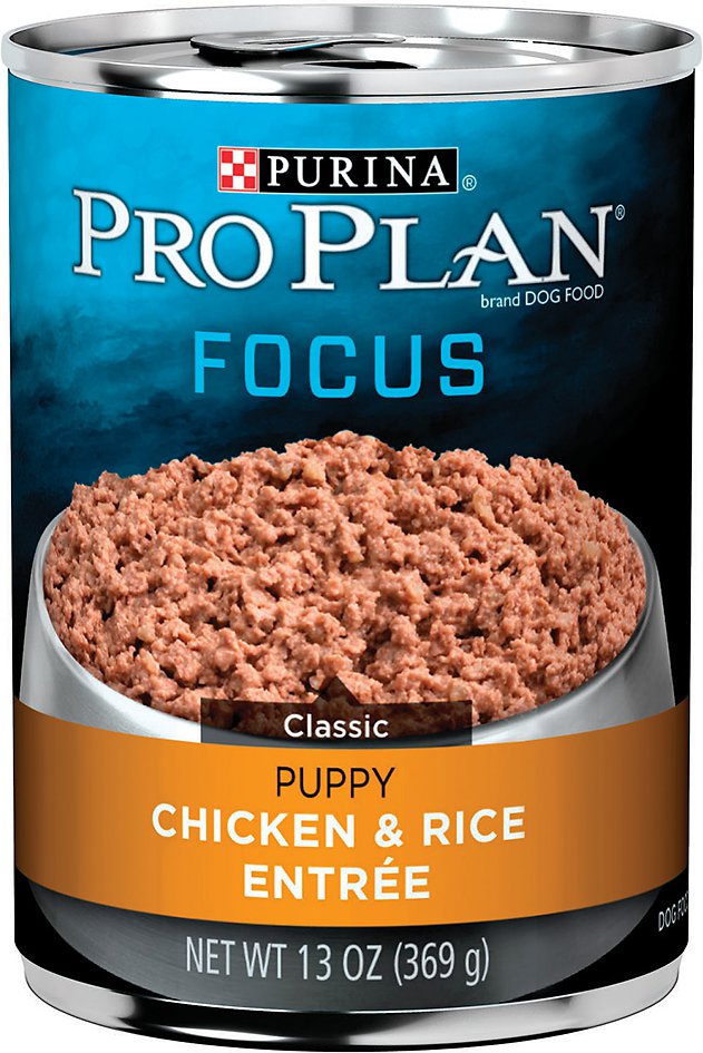 Purina Pro Plan Focus Puppy Classic Chicken & Rice Entree Canned Dog Food, 13-oz, case of 12
