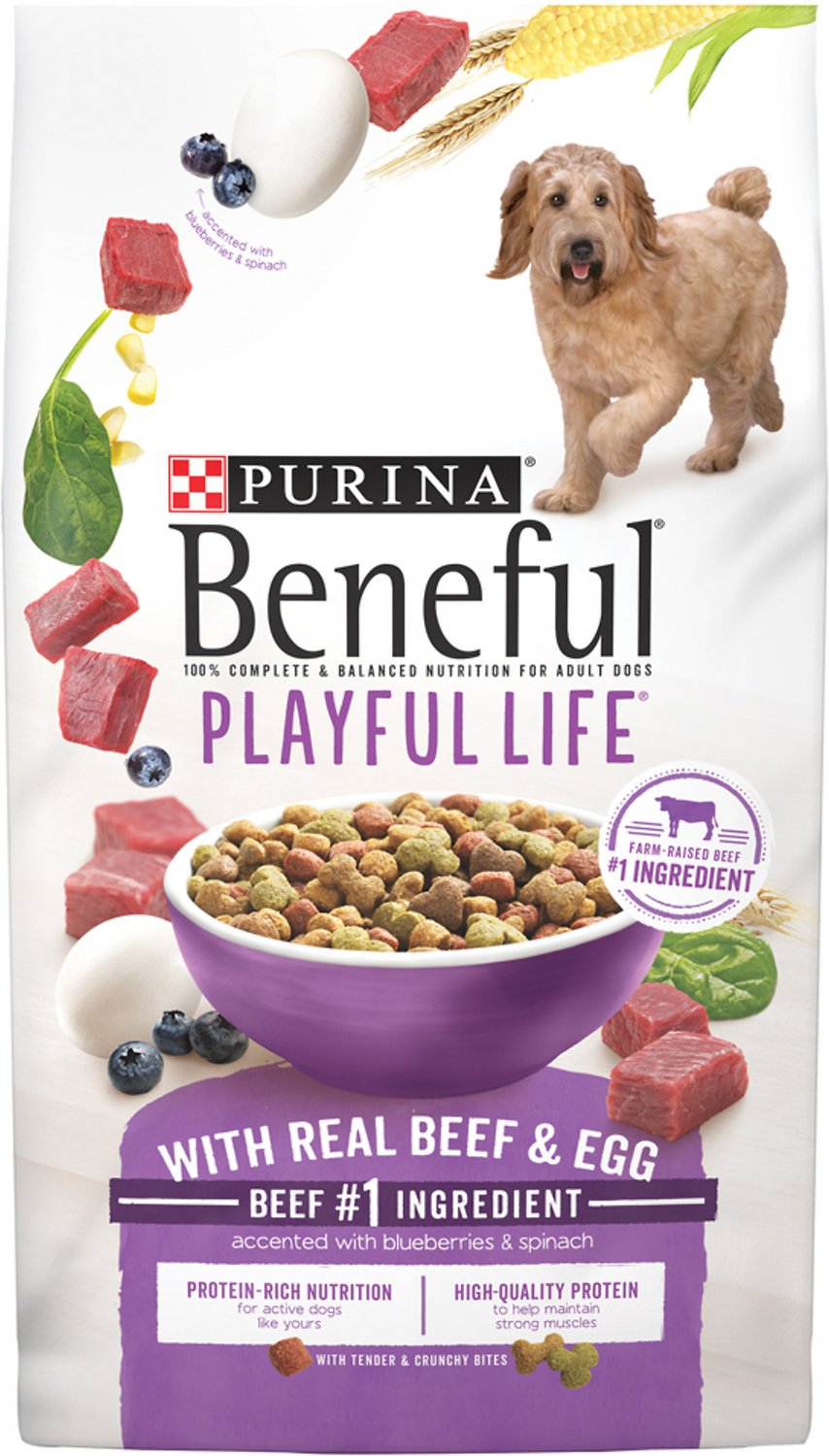 Purina Beneful Playful Life with Real Beef & Egg Dry Dog Food, 15.5-lb bag