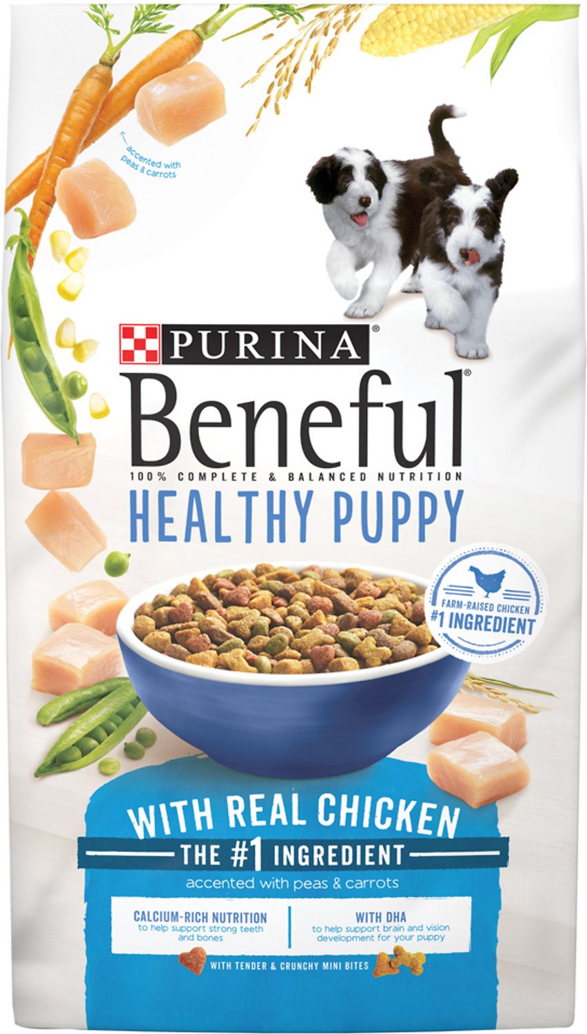 Purina Beneful Healthy Puppy with Real Chicken Dry Dog Food