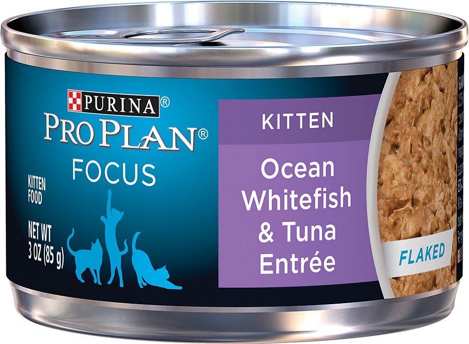 Purina Pro Plan Focus Kitten Flaked Ocean Whitefish & Tuna Entree Canned Cat Food, 3-oz, case of 24