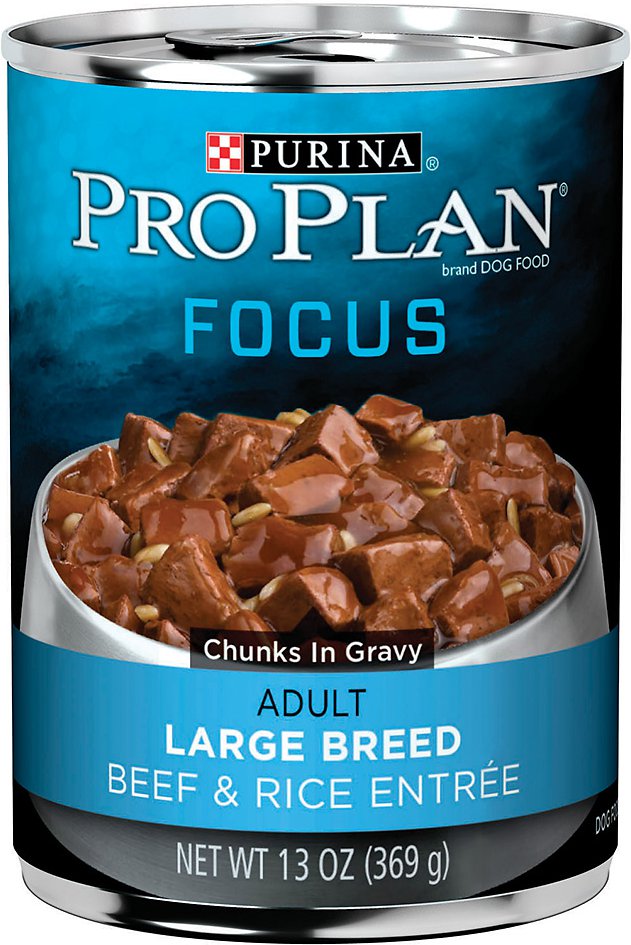 Purina Pro Plan Focus Adult Large Breed Beef & Rice Entree Chunks in Gravy Canned Dog Food, 13-oz, case of 12