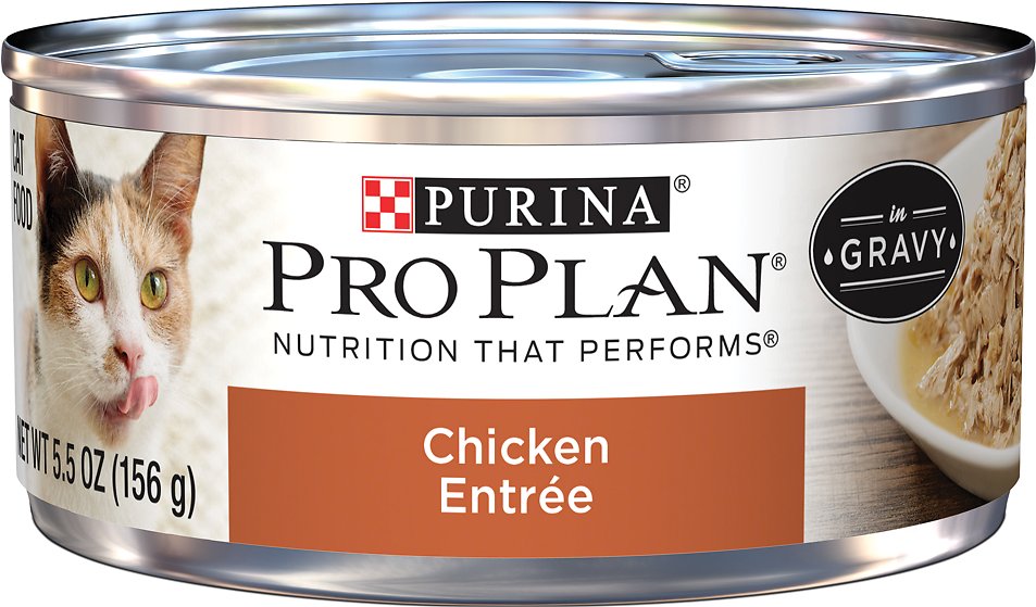 Purina Pro Plan Adult Chicken Entree in Gravy Canned Cat Food, 5.5-oz, case of 24