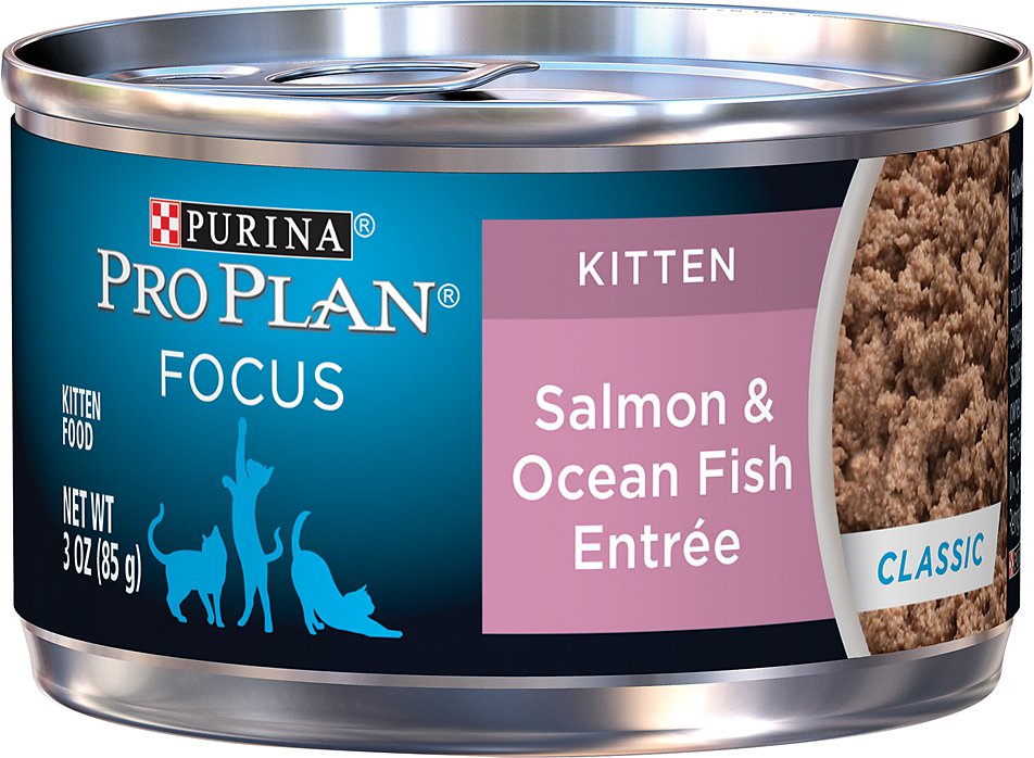 Purina Pro Plan Focus Kitten Classic Salmon & Ocean Fish Entree Canned Cat Food, 3-oz, case of 24