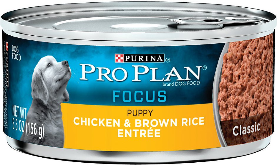 Purina Pro Plan Focus Puppy Classic Chicken & Brown Rice Entree Canned Dog Food, 5.5-oz, case of 24