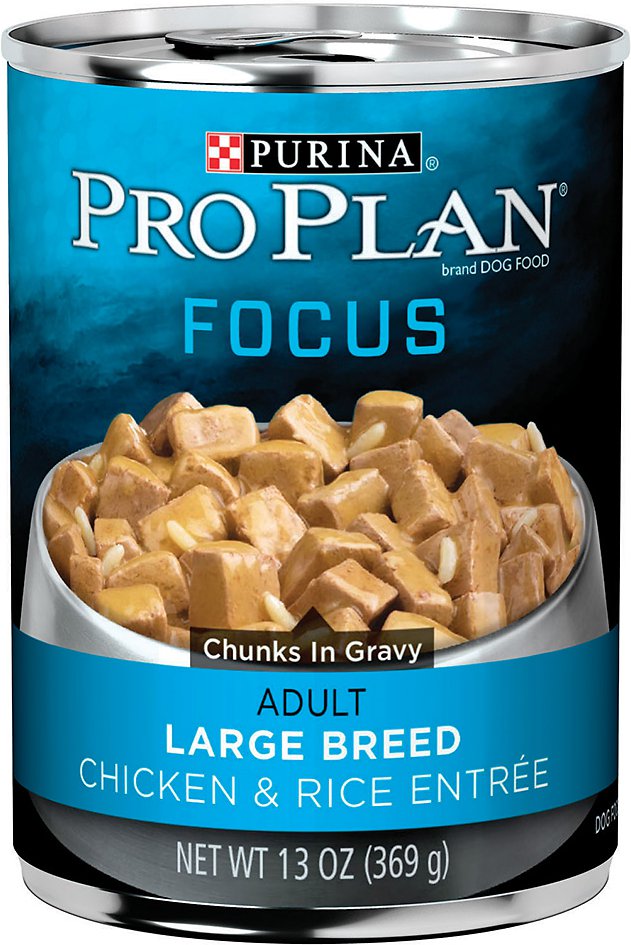 Purina Pro Plan Focus Adult Large Breed Chicken & Rice Entree Chunks in Gravy Canned Dog Food, 13-oz, case of 12