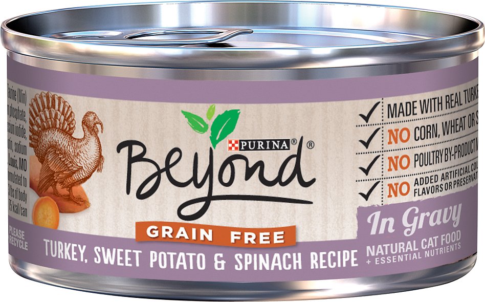 Purina Beyond Grain-Free Turkey, Sweet Potato & Spinach Recipe in Gravy Canned Cat Food, 3-oz, case of 12