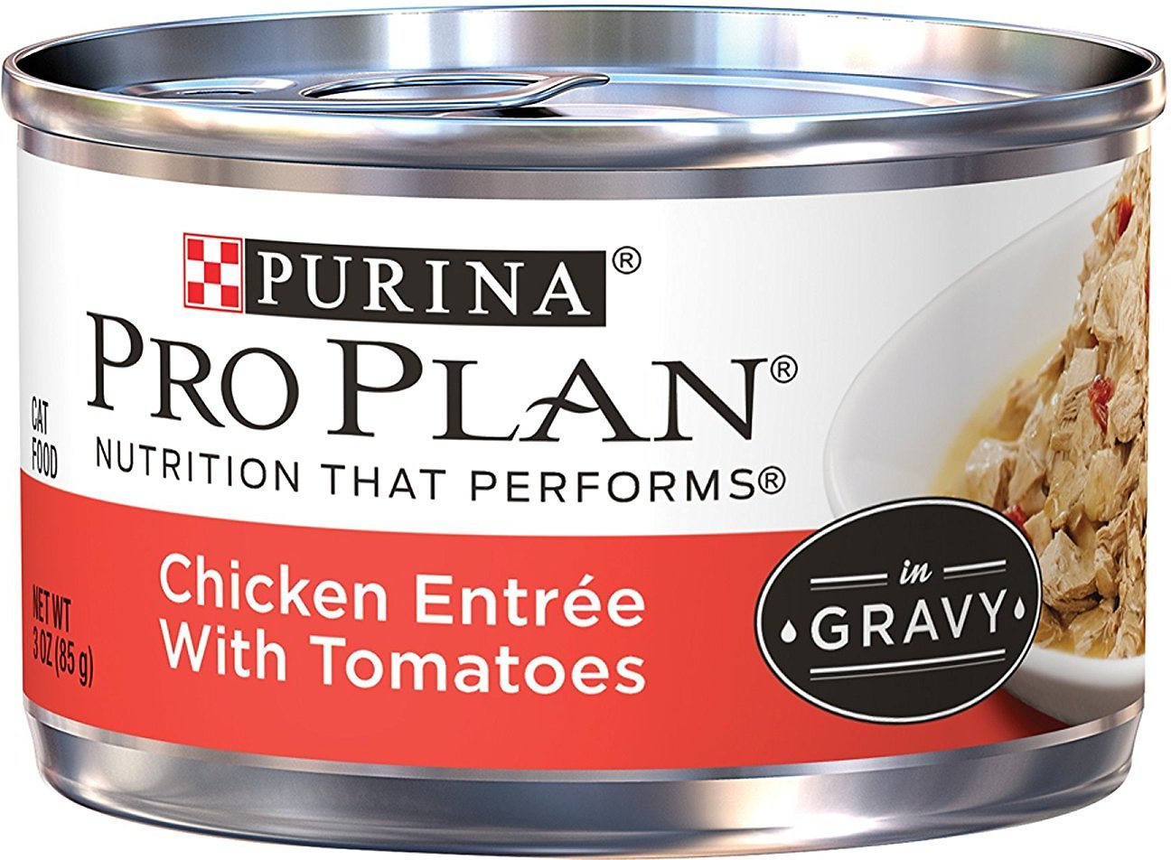 Purina Pro Plan Savor Adult Chicken Entrée with Tomatoes Braised in Gravy Canned Cat Food, 3-oz, case of 24