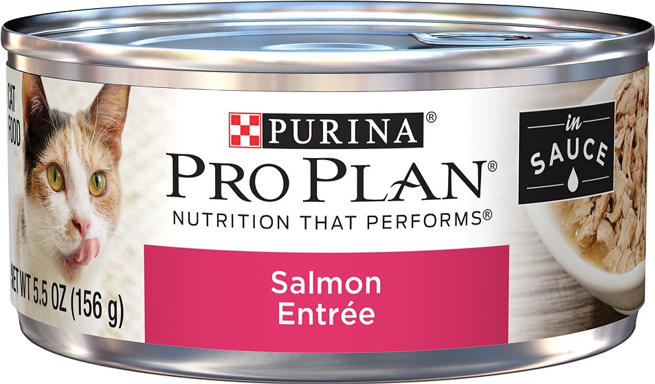Purina Pro Plan Adult Salmon Entree in Sauce Canned Cat Food, 5.5-oz, case of 24