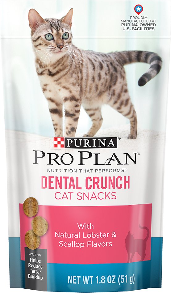 Purina Pro Plan Dental Crunch Cat Snacks with Natural Lobster & Scallop Flavors Cat Treats, 1.8-oz bag
