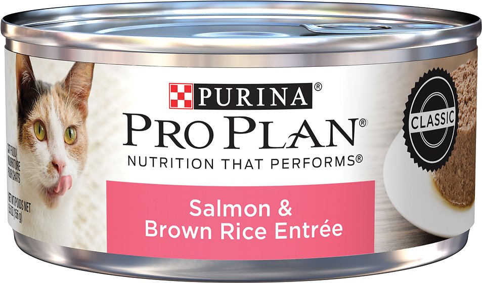 Purina Pro Plan Classic Salmon & Brown Rice Entree in Sauce Canned Cat Food, 5.5-oz, case of 24