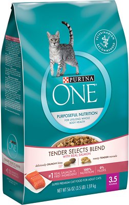 Purina ONE Tender Selects Blend with Real Salmon Dry Cat Food