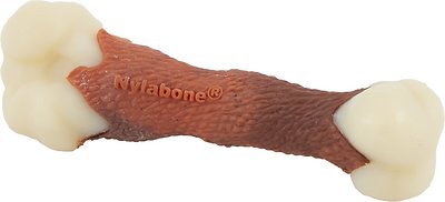 Nylabone DuraChew Femur Beef Flavored Bone Alternative Dog Chew Toy