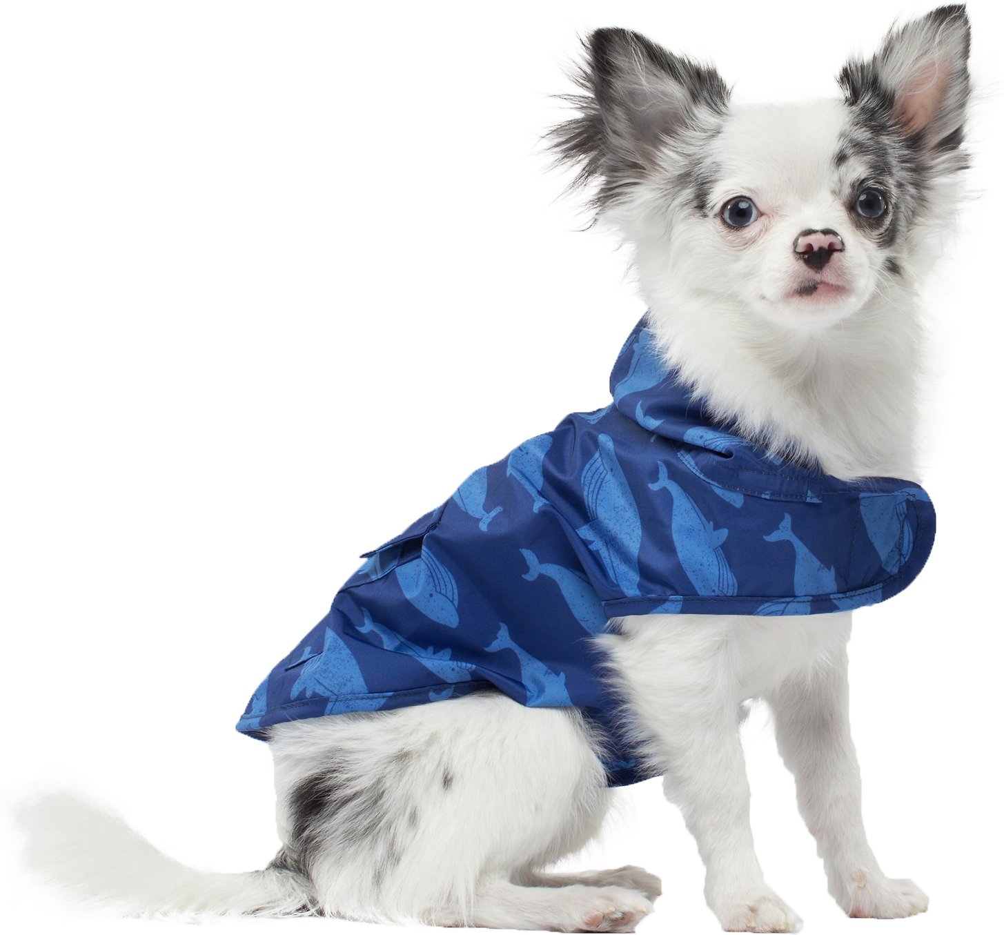 Canada Pooch Dog Rain Poncho