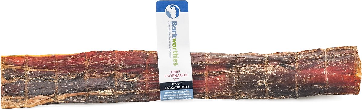 Barkworthies Beef Esophagus 12" Dog Treats
